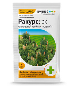 Ракурс Ракурс