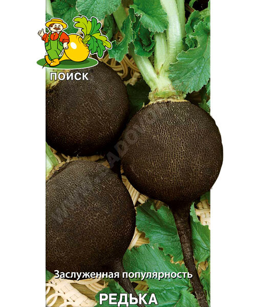 Редька Зимняя Круглая чёрная семена 