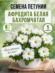 Петуния бахромчатая Афродита белая
