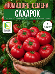 Томат Сахарок Томат Сахарок