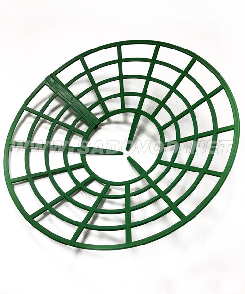 Подставка под клубнику саженцы 
