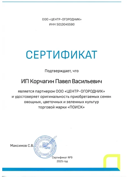 Петуния грандифлора Аладдин Белая семена