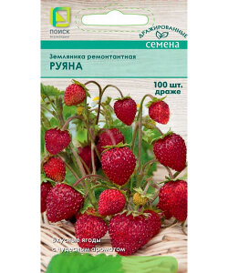 Земляника Руяна драже (ремонтантная) Земляника Руяна драже (ремонтантная)