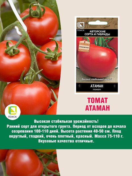 Томат Атаман семена 