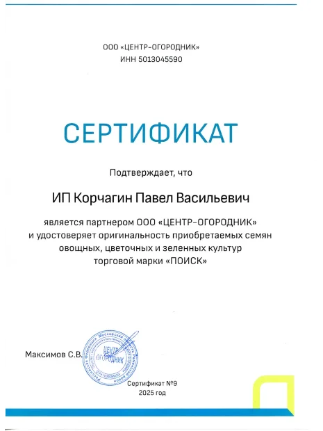 Лук репчатый Штуттгартер ризен семена 